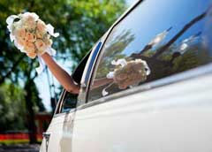 Wedding Limos And Wedding Transportation Near Zion