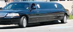 Homecoming And Prom Limos And Party Bus Packages in Riverview, FL