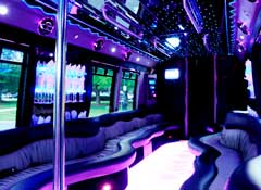 Homer Glen, IL Party Buses For Rent