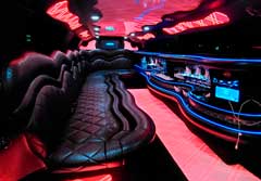 A Professional Party Bus Rental