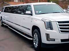 Discover Our Limo Service And Charter Bus Rental