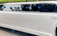 Most Desirous Prom Limo Service Package – All in One