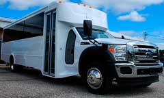 Planning A Party Bus Rental? Here Is What You Need To Know About Idledale Limo Bus Rental Pricing