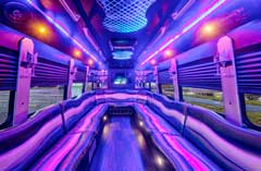 Rent A Party Bus For Palm Harbor Events